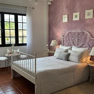 https://habitacion-dache-lanzarote.in-canary-islands.com